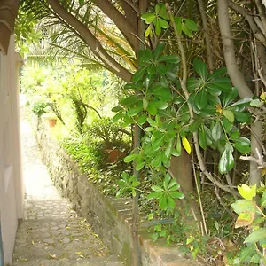 Sunflower Cosy - Il Girasole Casa vacanze